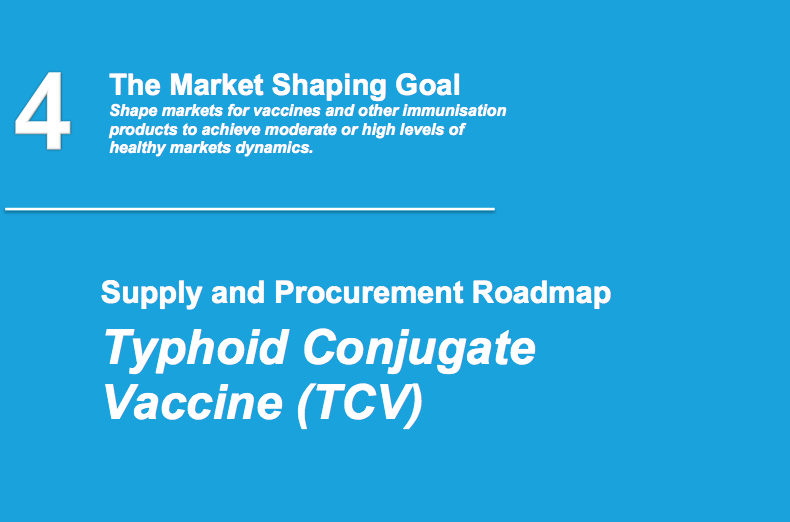 Typhoid conjugate vaccine roadmap